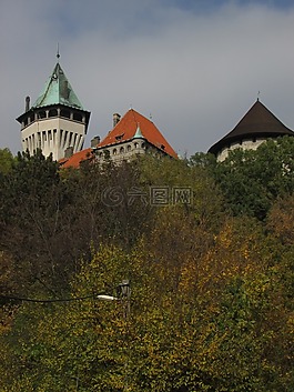 森林,塔,smolenice