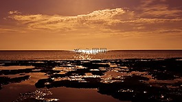 日落,水,黃昏