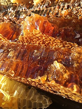 土蜂蜜,原生態,自然