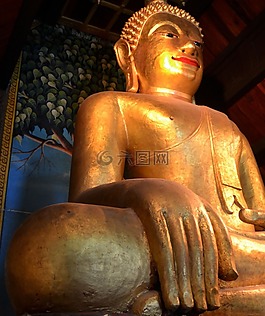 佛,泰國,寺