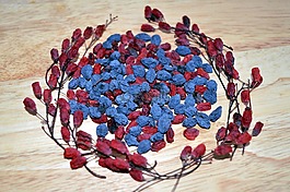 小檗,闊葉十大功勞,莓果