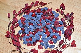 小檗,闊葉十大功勞,莓果