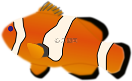 魚,小丑,水族館