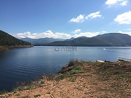 花,水,视图