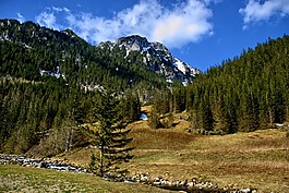 冬奥会,kościeliska谷,冬季