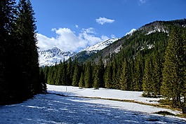冬奥会,kościeliska谷,冬季