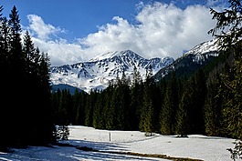 冬奥会,kościeliska谷,冬季