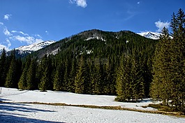 冬奥会,kościeliska谷,冬季