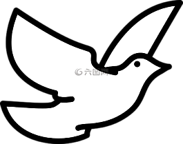 飛行,鳥,白