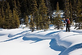 戶外,自然,滑雪