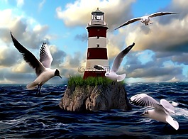 燈塔,海鷗,鳥