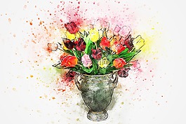 花,花束,郁金香