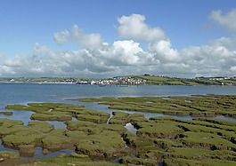 英格蘭,潮,河
