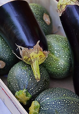 西葫蘆,蔬菜,綠色