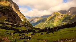 山,全景圖,羊