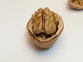 堅(jiān)果,核桃,半螺母