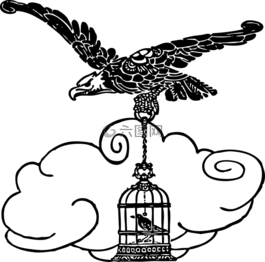鷹,鳥,飛行