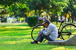 草,夏天,公园