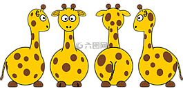 長頸鹿,哺乳動物,動物