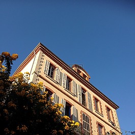 花,建筑,前