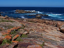 普勒滕貝格,半島,南非
