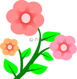粉红色,鲜花,植物