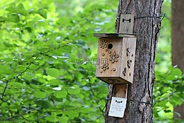 雜色山雀,鳥屋,鳥箱