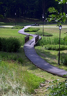 路徑,方式,公園