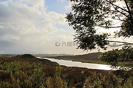 景觀,河,湖