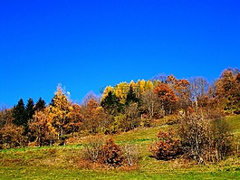 秋季景觀,藍色的天空,秋天的顏色