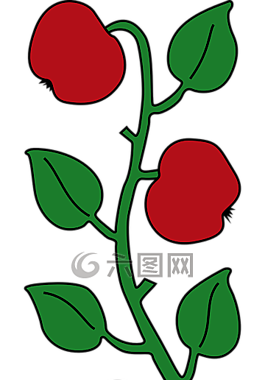 植物,红色,水果