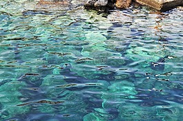海,水,淺藍色