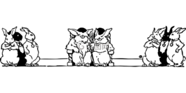 動(dòng)物,哺乳動(dòng)物,兔