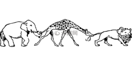 長(zhǎng)頸鹿,象,獅子
