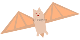蝙蝠,夜間,動物
