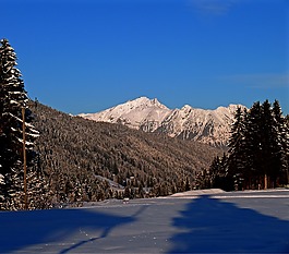 雪跟踪,雪,痕迹