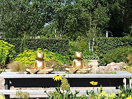 公園花園,青蛙,冥想