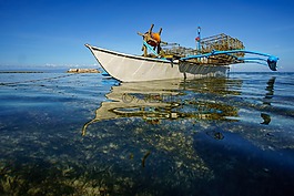 水域,海,旅行