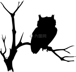 貓頭鷹,剪影,黑