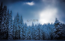 斯闊谷,加利福尼亞州,雪