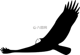 側影,鳥,飛行