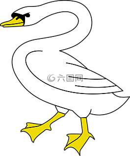 鳥,天鵝,動物