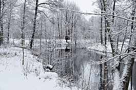 冬天,雪,弗羅斯特
