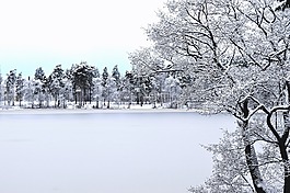 冬天,雪,冷