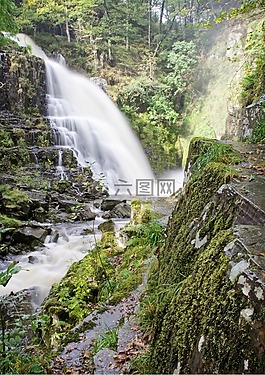 大瀑布,水,森林