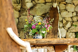 束鮮花,野花,首頁