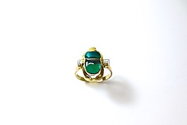 圣甲虫,绿色,黄金