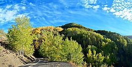 土耳其,秋,季節(jié)