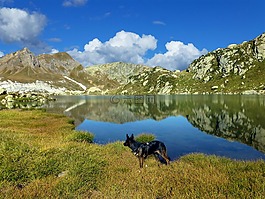 高山,bergsee,鏡像
