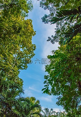 天空,背光,暗影